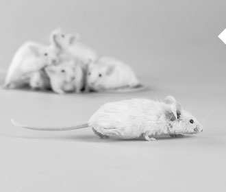 Les causes Les causes